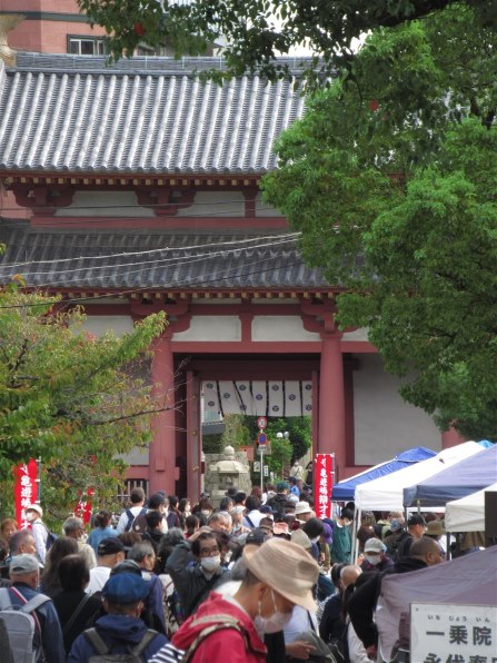 CANON PowerShot SX620 HS投稿画像・動画 - 価格.com