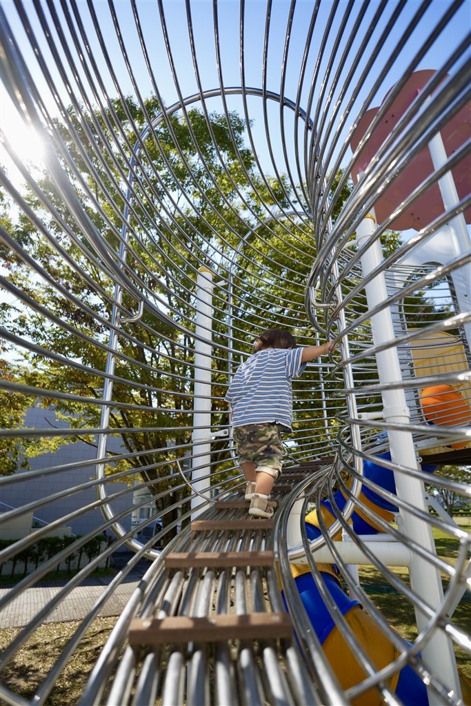 0?3歳の子供の公園フォトに唯一無二の選択肢』 TAMRON 20-40mm F