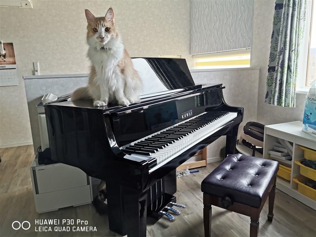 引取限定 KAWAI NOVUS NV10S 電子ピアノ 88鍵盤 ハイブリッドピアノ ピアノ カワイ 良好 直N7213994(カワイ)｜売買されたオークション情報、yahooの商品情報をアーカイブ公開  - オークファン カワイ