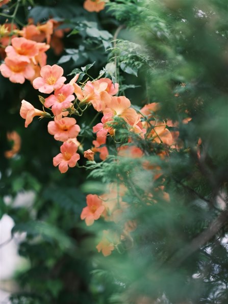 美品FUJIFILM GF35-70mm F4.5-5.6 WR箱付フィルター付 富士フイルム FUJIFILM GFX50S II GF35-70mmレンズキット レビュー評価