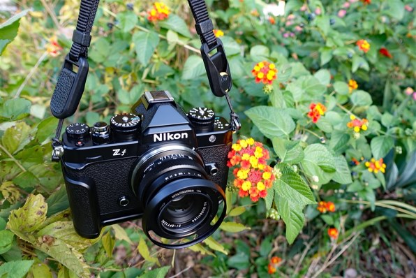 銘匠光学 TTArtisan Z 50mm f/2 ブラック 単焦点 Zマウント 銘匠光学 TTArtisan 50mm F2】レビュー：コスパがよく明るい標準