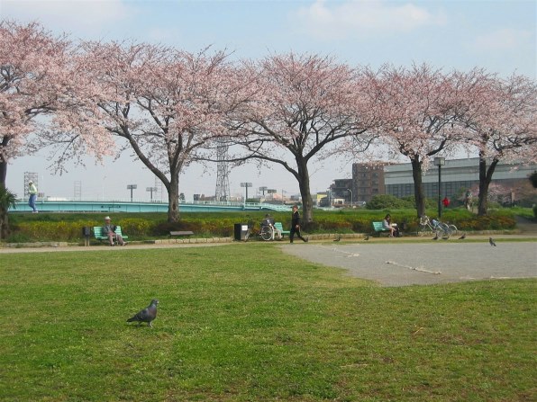 CANON PowerShot S30で撮影された写真 (レビュー) - 価格.com