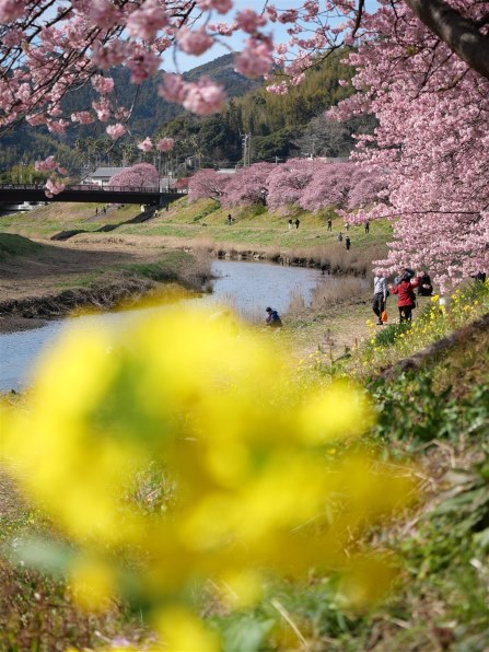 パナソニック LUMIX G VARIO 45-150mm/F4.0-5.6 ASPH./MEGA O.I.S. H ...