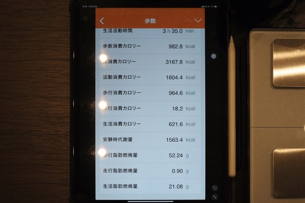 ✴︎ご成約品✴︎リピーター様割引　１点 WEST 【ウエスト】セキスイハウスツーロック[40-916-PPA4+40-916