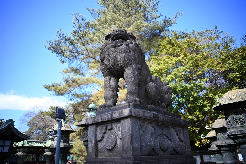 オールドと現代の融合を感じる一本』 コシナ フォクトレンダー NOKTON