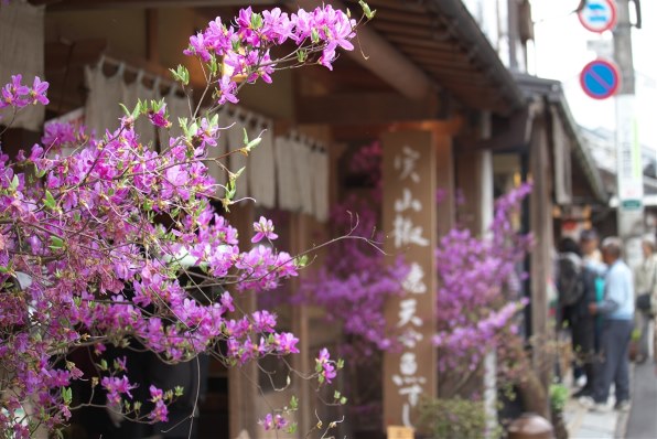 CANON EOS Kiss X7 ダブルズームキットで撮影された写真