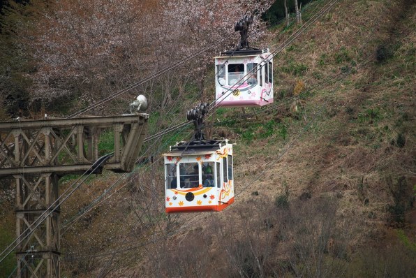 【作例あり】Canon EF-S55-250mm F4-5.6 IS STM CANON EF-S55-250mm F4-5.6 IS STMで撮影された写真 (レビュー