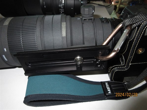シグマ APO 120-300mm F2.8 EX DG HSM (ｷﾔﾉﾝ AF)投稿画像・動画 - 価格.com