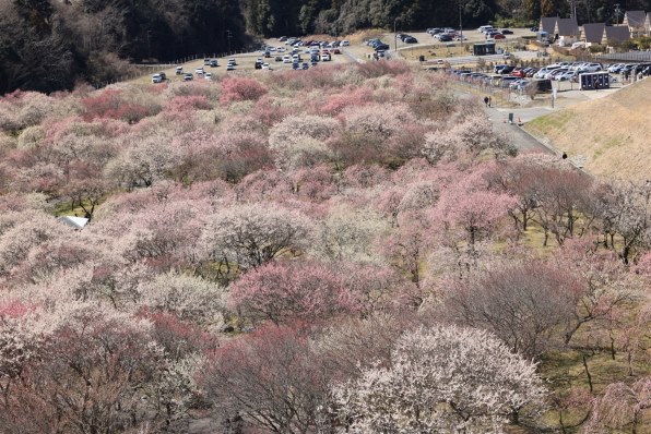 キヤノンCanon RF 100-500mm F4.5-7.1 L IS USM SONY 4K ビデオカメラ FDR-AX60 本体