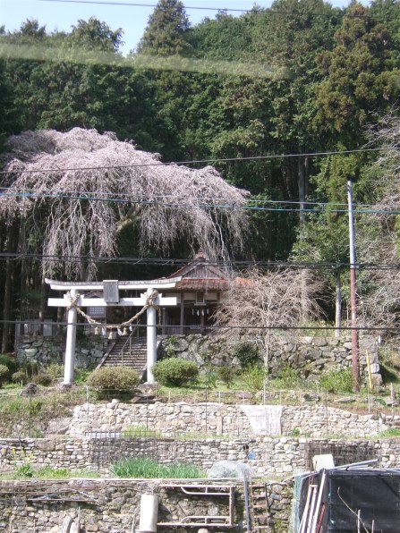 【作例あり】kodak pixpro fz45 KODAK PIXPRO FZ45で大阪街角スナップ 作例 - shimaの写真散歩