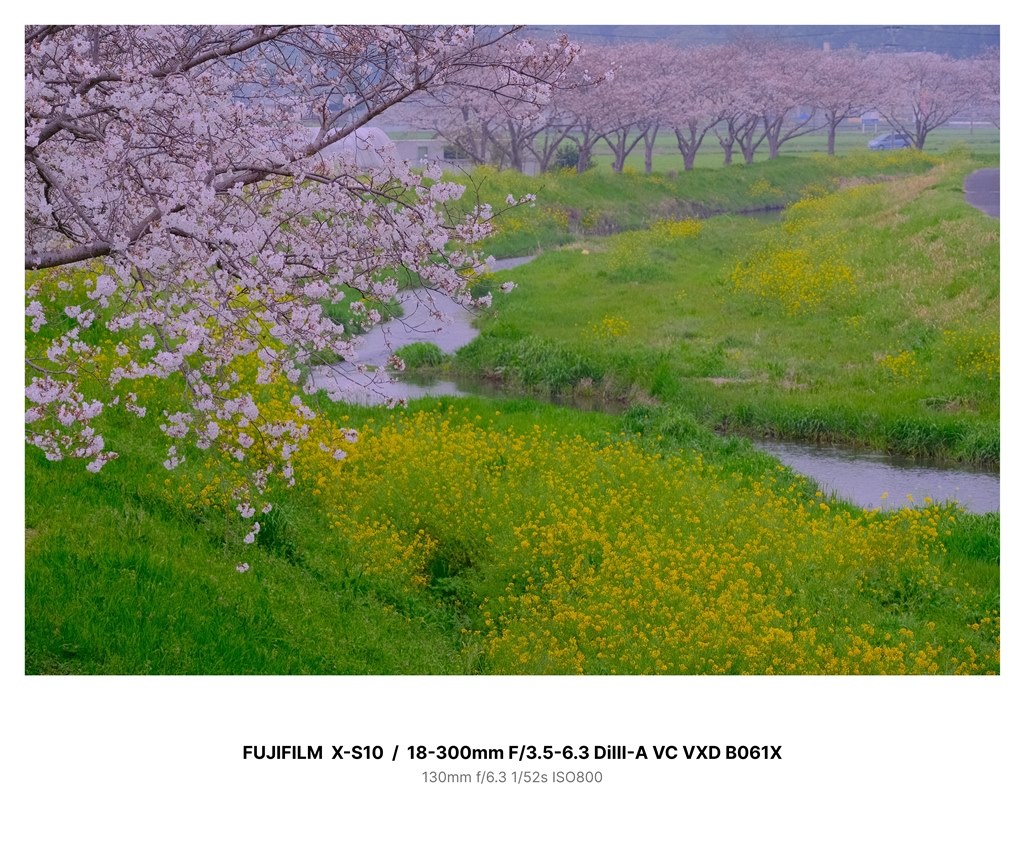 XF18135より解像します。』 TAMRON 18-300mm F/3.5-6.3 Di III-A VC