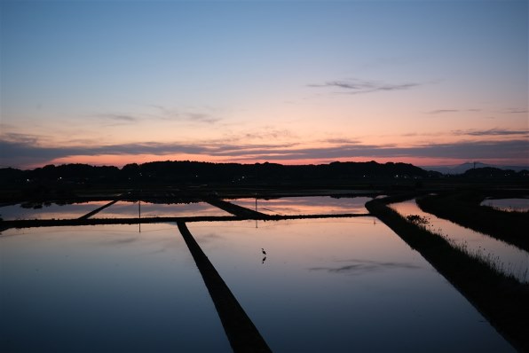 富士フイルム フジノンレンズ XF23mmF1.4 R LM WR 価格比較 富士フイルム フジノンレンズ XF23mmF1.4 R LM WR 価格比較