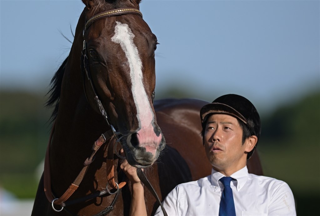 Z9でGタイプのサンニッパを使い込んでみたレビュー』 ニコン AF-S