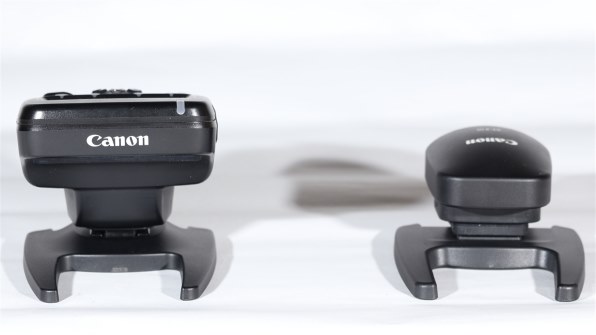 CANON RF24-105mm F4-7.1 IS STMで撮影された写真 - 価格.com CANON RF24-105mm F4-7.1 IS STMで撮影された写真 - 価格.com