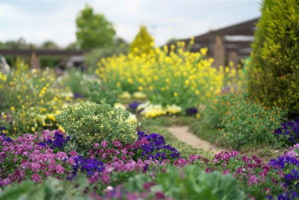 SONY FE 50mm F1.2 GM SEL50F12GM投稿画像・動画 - 価格.com