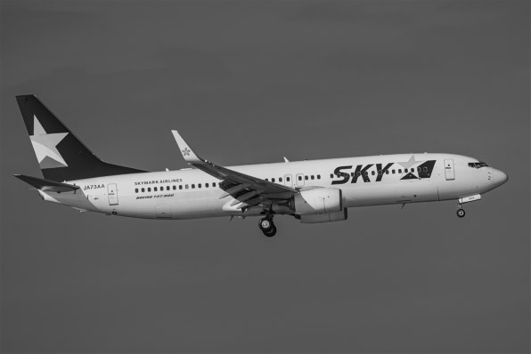 パナソニック LEICA DG VARIO-ELMAR 100-400mm/F4.0-6.3 II ASPH