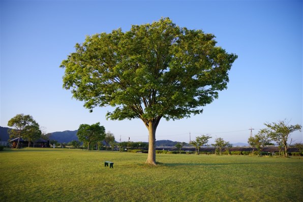ペンタックス HD PENTAX-D FA 24-70mmF2.8ED SDM WR投稿画像 ペンタックス HD PENTAX-D FA 24-70mmF2.8ED SDM WR投稿画像