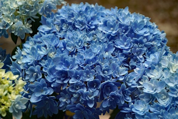 ✨極美品✨ソニー α5100 パワーズームレンズキット❤️ショット数8,830回！