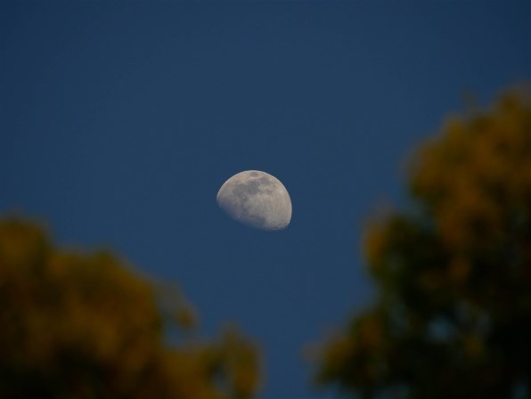 パナソニック LUMIX DC-GF10W-D ダブルレンズキット [オレンジ パナソニック LUMIX DC-GF10W-D ダブルレンズキット [オレンジ