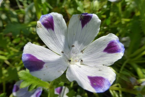 パナソニック LUMIX DMC-TZ30-W [ホワイト]投稿画像・動画