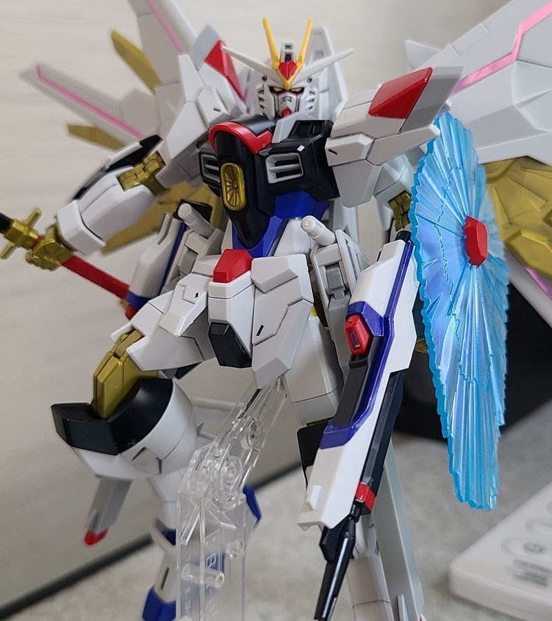 HG マイティーストライクフリーダムガンダム 1点 面倒い