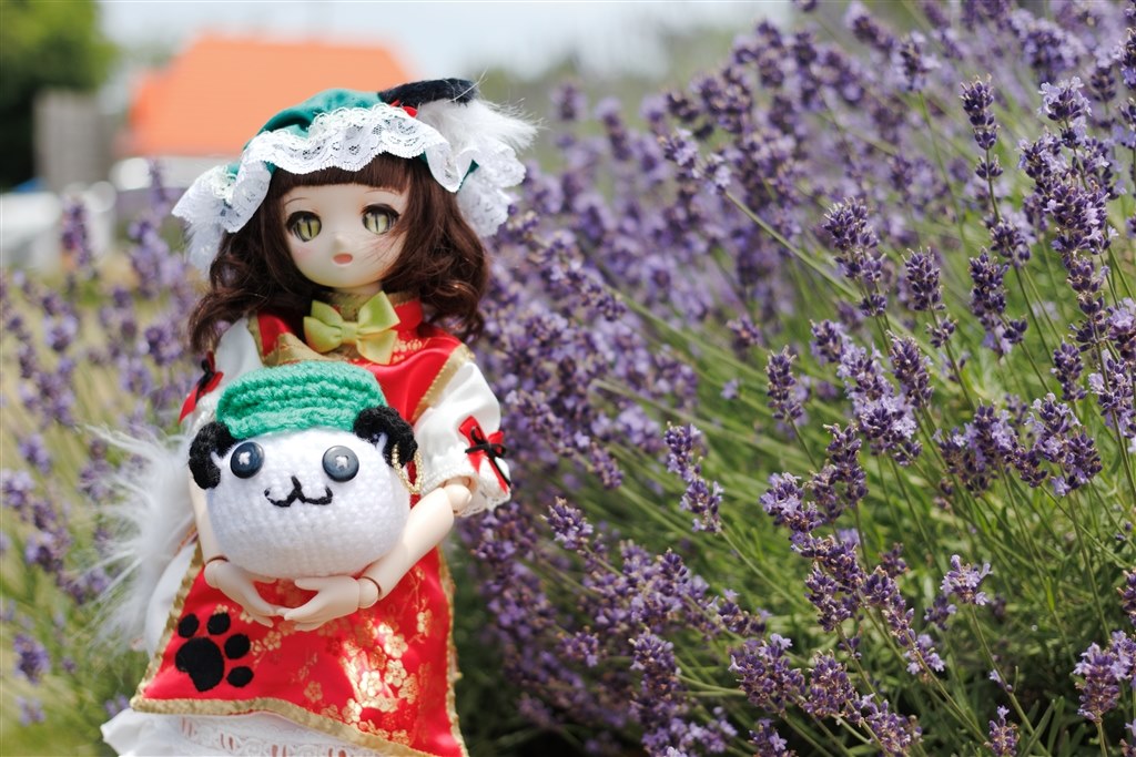 美品】キャノンEF40mmf2.8STM ホワイト プロテクター赤.黒付き Amazon