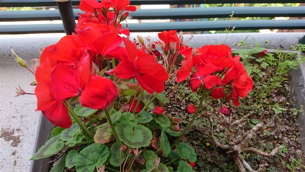 遊べるし快適だしでAndroid10でも問題無ければ使いたい端末』 SONY