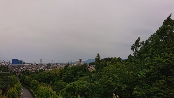 SONY Xperia XZ3 SOV39 au [フォレストグリーン]投稿画像・動画 - 価格.com