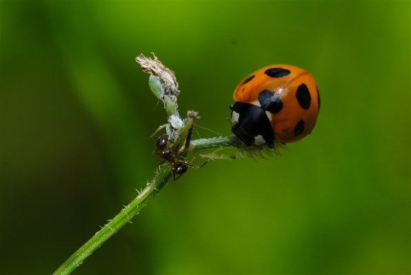富士フイルム フジノンレンズ XF80mmF2.8 R LM OIS WR Macro 富士フイルム フジノンレンズ XF80mmF2.8 R LM OIS WR Macro