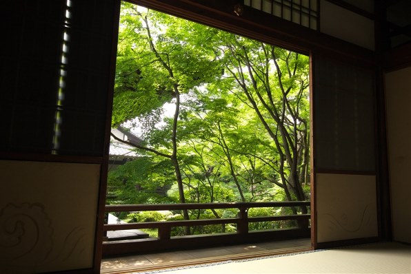 シグマ 10-20mm F3.5 EX DC HSM (キヤノン用) 価格比較 - 価格.com