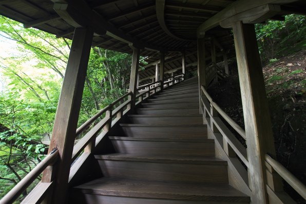 動作絶好調 シグマEX 10-20mm F3.5 DC HSM 極上美品 極上美品》 SIGMA シグマ 10-20mm F3.5 EX DC HSM キヤノン CANON用