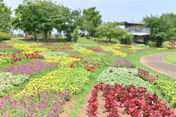シグマ 50mm F1.4 EX DG HSM (キヤノン用)投稿画像・動画 - 価格.com シグマ 50mm F1.4 EX DG HSM (キヤノン用)投稿画像・動画 - 価格.com