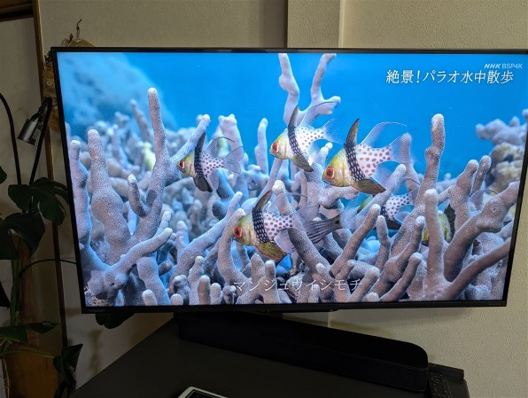 TOSHIBA 東芝 レグザ 43インチ 4K液晶テレビ 43M550L 4K