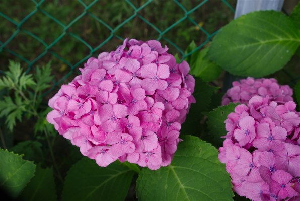 TOKINA atx-m 23mm F1.4 Xで撮影された写真 (レビュー) - 価格.com