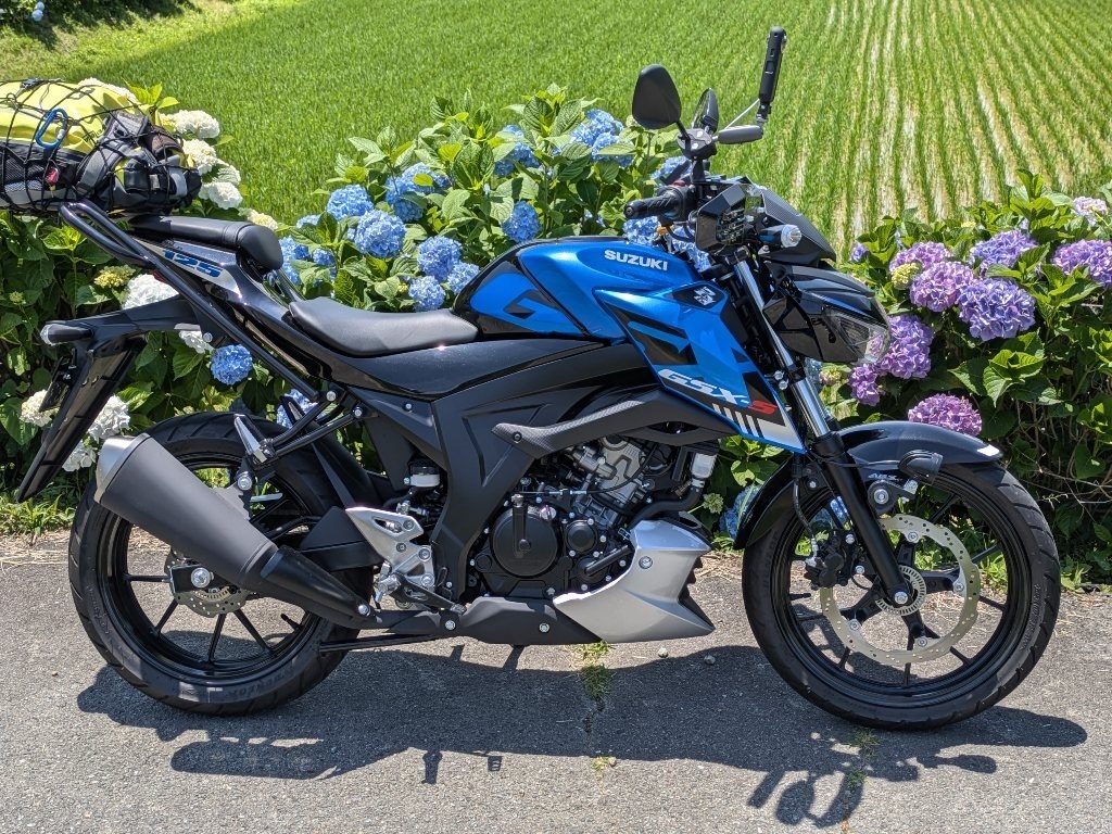 他車種に比べて、リーズナブル。』 スズキ GSX-S125 sayaya001さんのレビュー評価・評判 - 価格.com