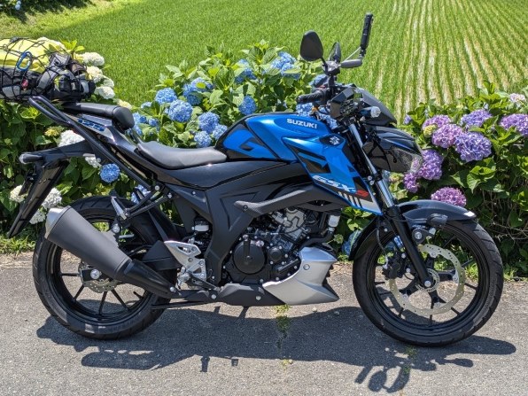 GSX-s125 丸目カスタム車 低走行 車体 - スズキ