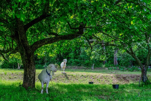 canon EF28mmF2.8 IS USM風景撮影セット Canon（キヤノン） EF28mm F2.8 IS USM 実写レビュー | フォト
