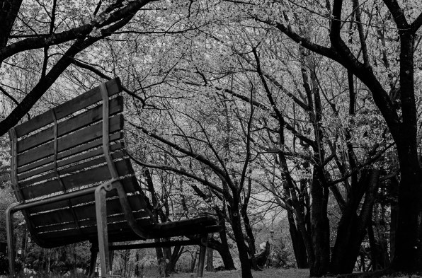 最終価格です。富士フィルム　X100S 価格.com - 富士フイルム FUJIFILM X100S 純正オプション