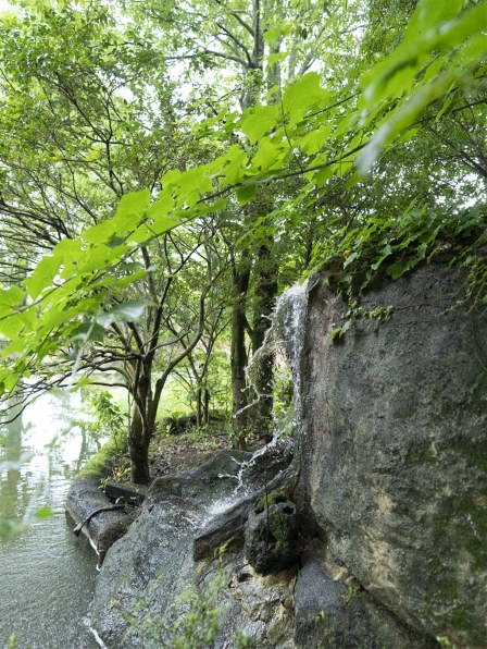 SONY E 15mm F1.4 G SEL15F14Gで撮影された写真 - 価格.com SONY E 15mm F1.4 G SEL15F14Gで撮影された写真 - 価格.com