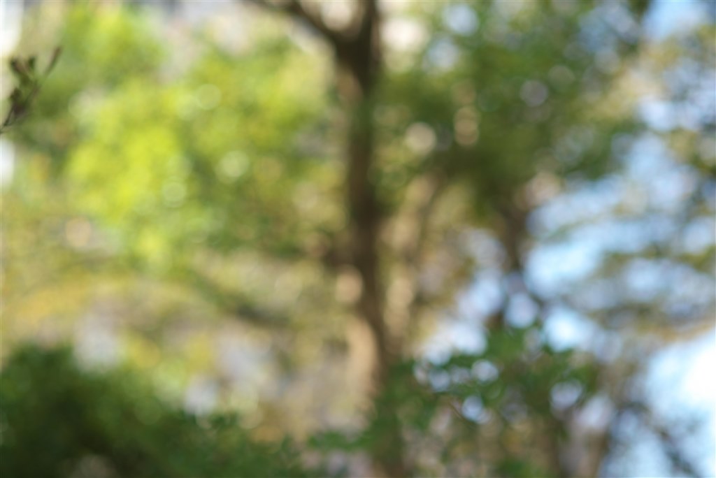 疑いなく無印良品レンズです！！』 SONY FE 85mm F1.8 SEL85F18 you_na