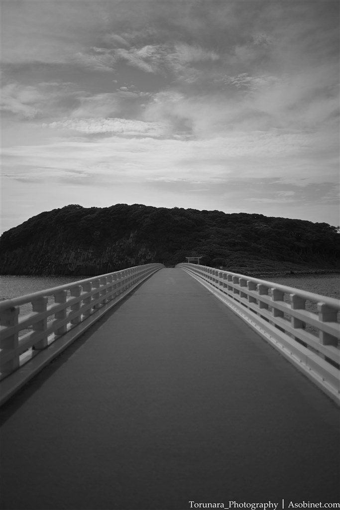 癖が強いもののS-Lineとは一線を画す雰囲気のある描写』 ニコン NIKKOR