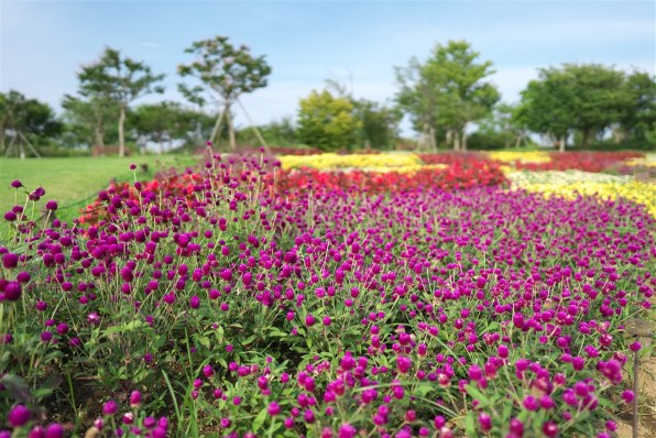 SONY FE 24mm F1.4 GM SEL24F14GMで撮影された写真 - 価格.com