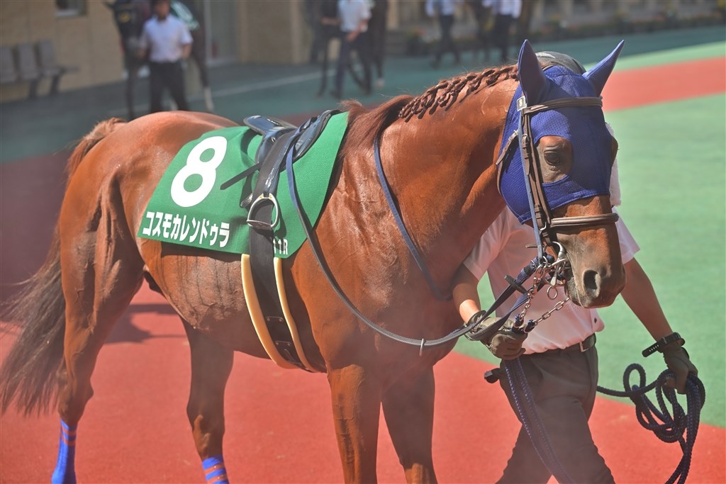 競馬目的で買い替えで満足』 ニコン Z6III ボディ マンボウ次郎さんの