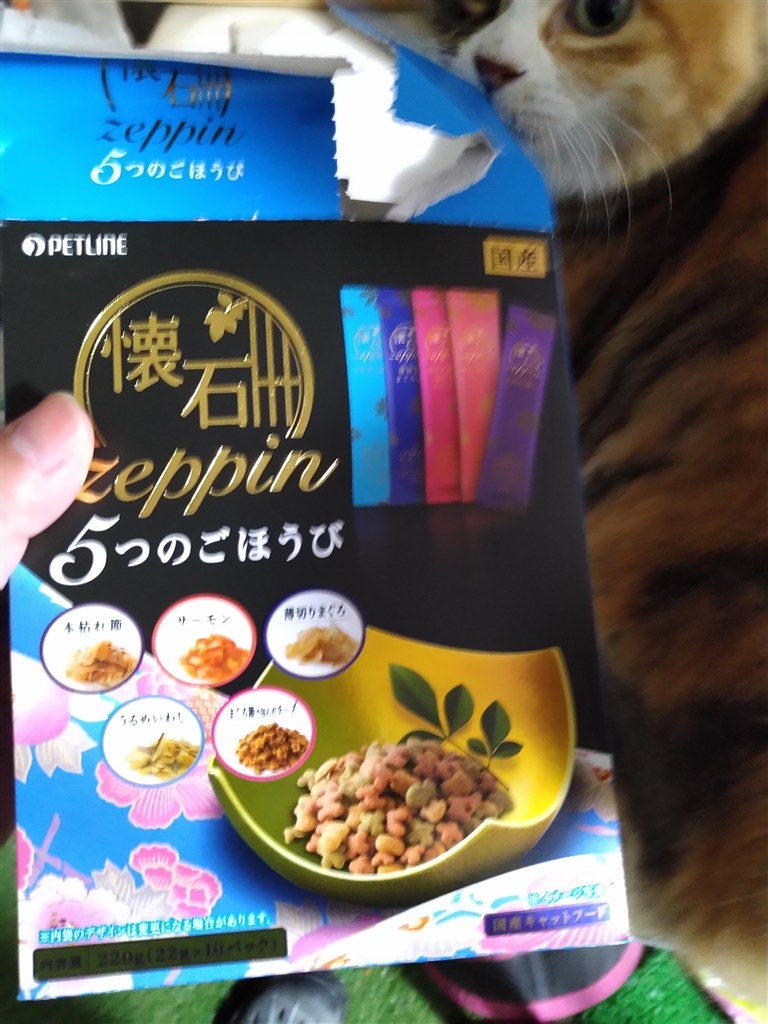 箱を持つと箱の背後に現れます。』 ペットライン 懐石zeppin 5