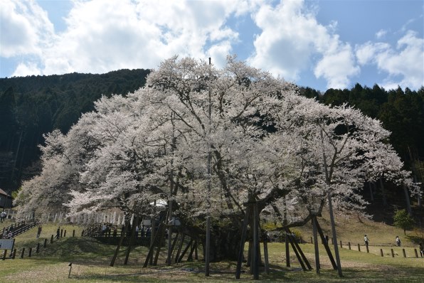 ニコン D7100 ボディで撮影された写真 - 価格.com ニコン D7100 ボディで撮影された写真 - 価格.com