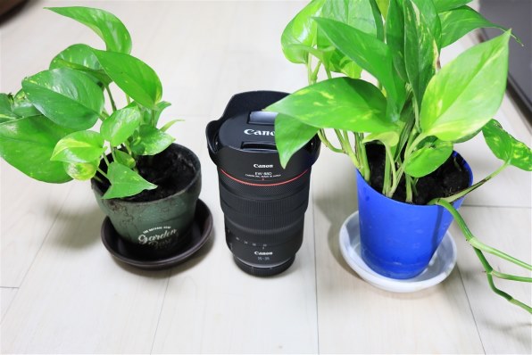 ✰Canon EF 35mm f/2 単焦点レンズ✰ F2 Amazon.co.jp: Canon 単焦点レンズ EF35mm F2 IS USM フルサイズ