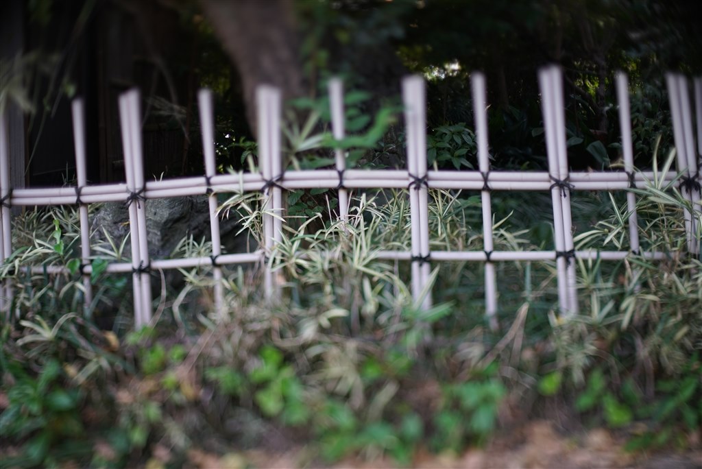 フルサイズでも使えますが・・・』 七工匠 7Artisans Tilt-Shift フルサイズでも使えますが・・・』 七工匠 7Artisans Tilt-Shift