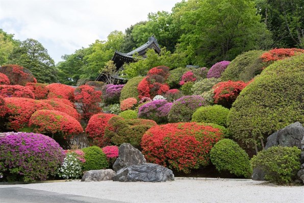 SONY FE 28-70mm F3.5-5.6 OSS SEL2870投稿画像・動画 - 価格.com