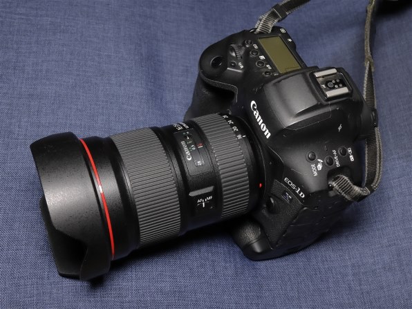 CANON EOS M6 Mark II ボディ [シルバー]で撮影された写真 - 価格.com