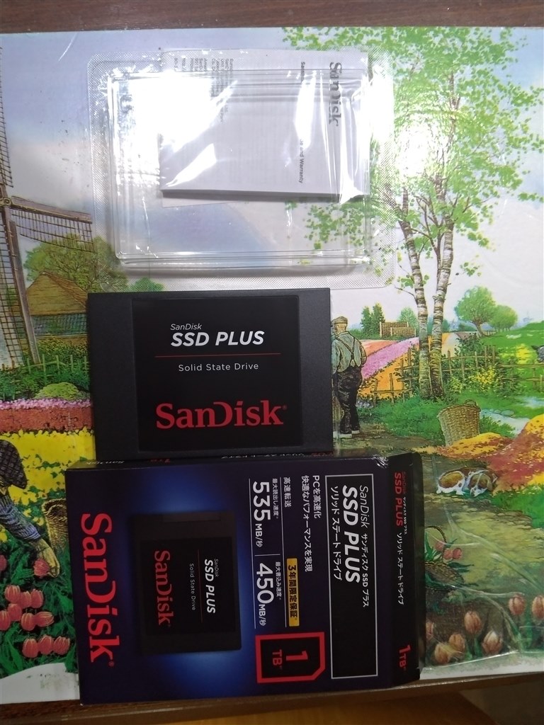 NASで使用。』 SANDISK SSD PLUS SDSSDA-1T00-J26 まぐたろうさんのレビュー評価・評判 - 価格.com